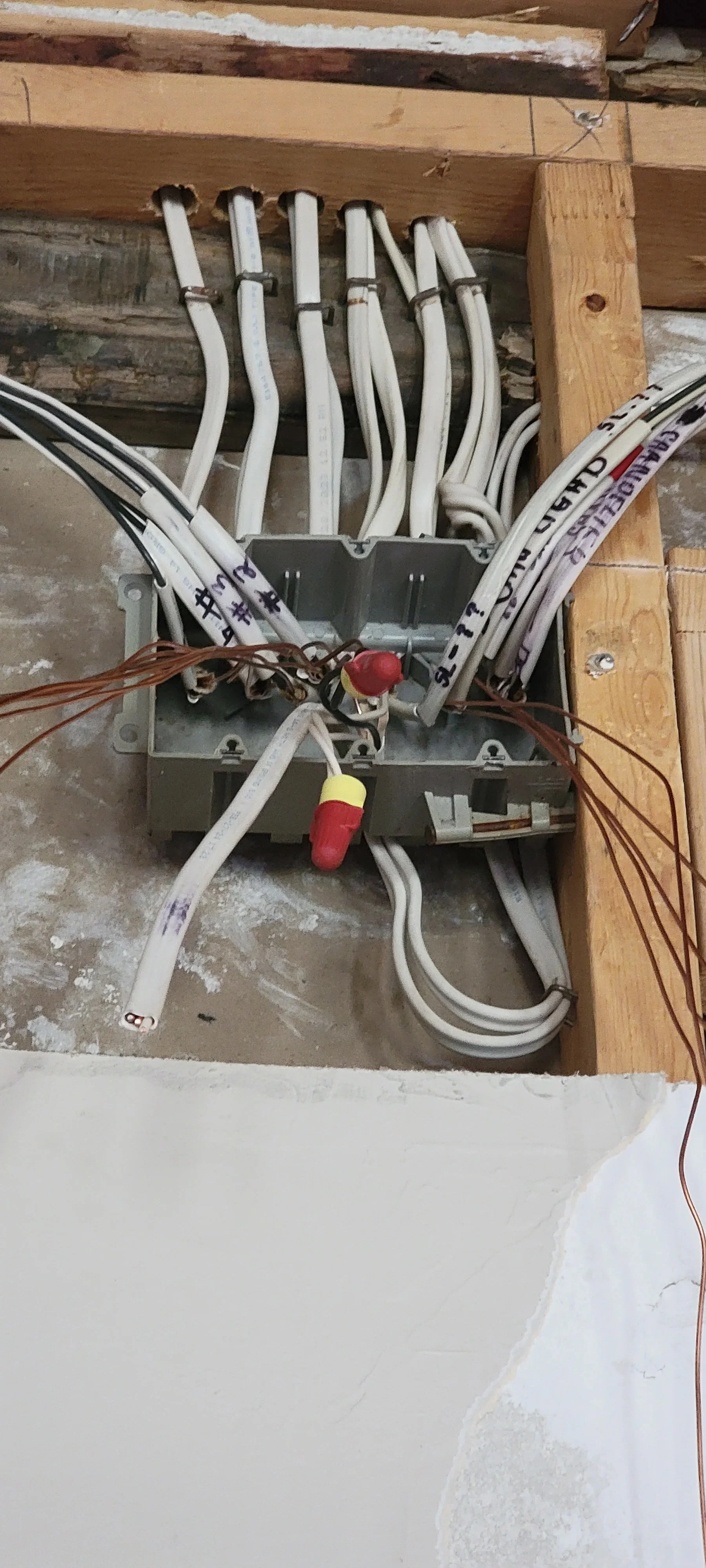Electrical panel with white conduit runs, circuit breakers, and color-coded wiring installation